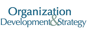 Organization Development and Strategy